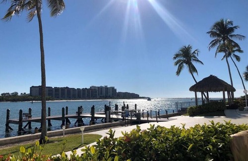 Isles of Capri Condo | Winter Island Get Away Visit the Dolphin and Manatee