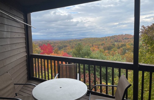 Ghent Apartment | Winterplace Condo D306