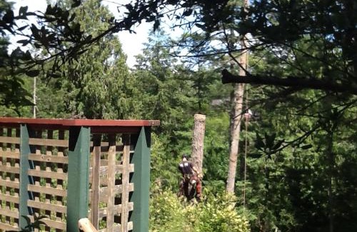 Sooke Bed & Breakfast | Wisteria Honeymoon Cottage