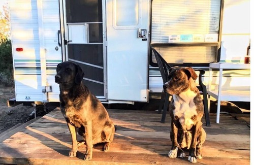 Monticello Cabin | With its retro style and playful color scheme, this unit offers a fun and comfortable escape.