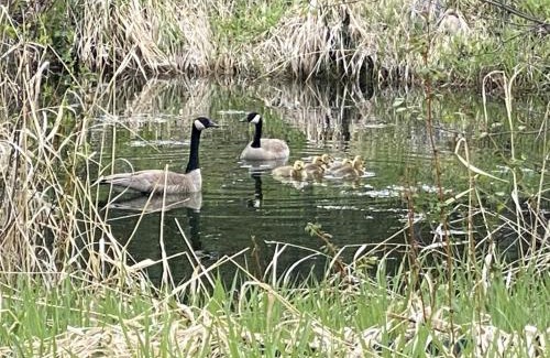 Okanagan-Similkameen House | Witt's End Ranch Private Get Away