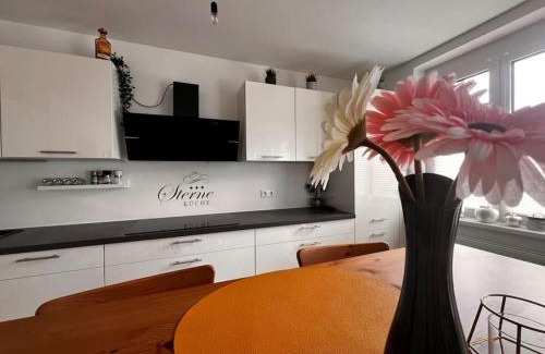 Inzersdorf im Kremstal Apartment | Wohnen am Land!