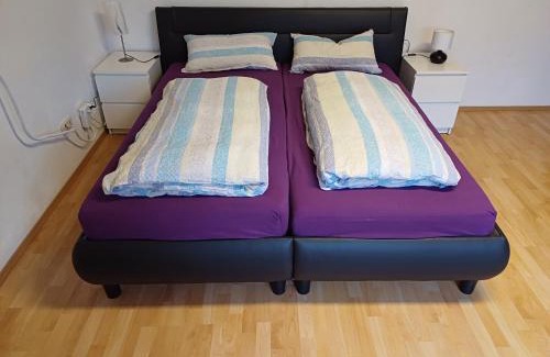 Muersbach Apartment | Wohnung in Medlitz