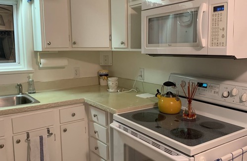 Baldwin House | Wolf Lake Betty is resting for 2026.