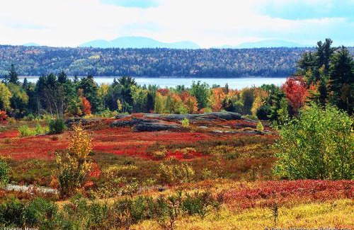 Franklin House | Wolfe's Way