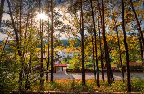 Vulcan Hotel | Wolkendorf Bio Hotel & Spa