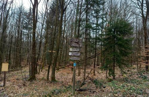 Guxhagen Hotel | Wollröder Krug