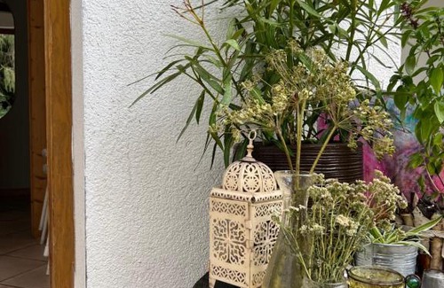 Campo di Trens Apartment | Wonderful Apartment in outstanding Natural Beauty