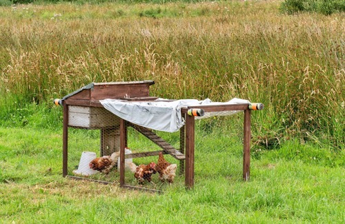 North Buckland House | Wonderful villa for 4 guests with WIFI