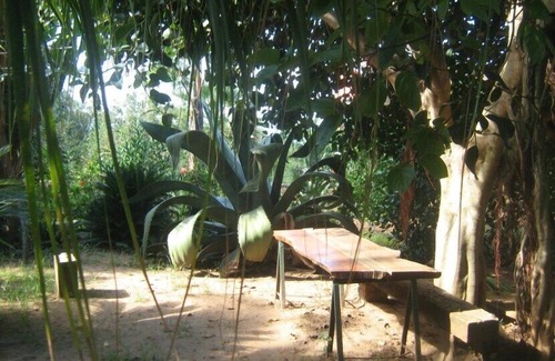 San Nicolo Villa | Wonderful Villa Surrounded by Lush Greenery Peacefully Located Beach Close