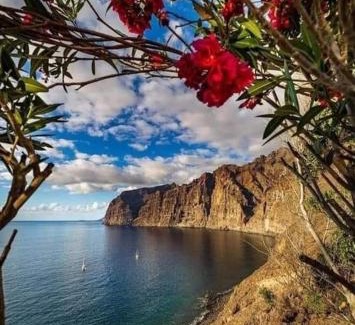 Los Gigantes Apartment | Wonderland Villa Tierra Fértil Los Gigantes