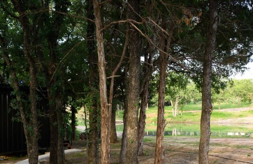 Alvord Cabin | Wooded Cabin w/Pond View near LBJ Grasslands - Book 1 or All 4 Cabins