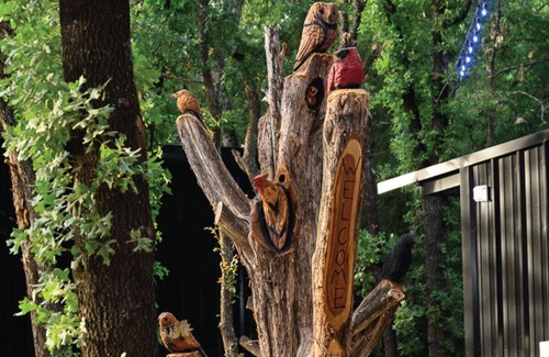 Alvord Cabin | Wooded Cabin w/Pond View near LBJ Grasslands - Book 1 or All 4 Cabins