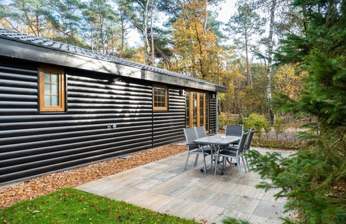 Otterlo Ski Chalet | Wooden chalet near De Veluwe National Park