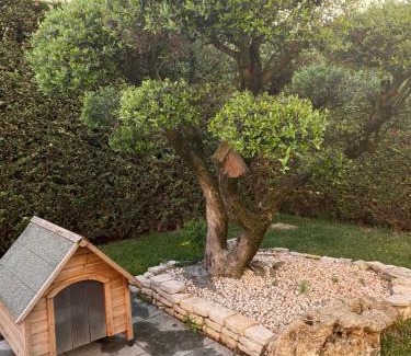 Montegrotto Terme Bed & Breakfast | Wooden house