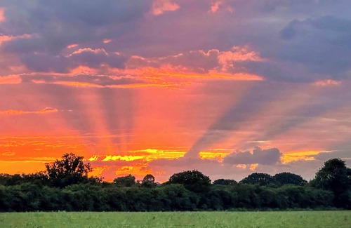 Rochford Cottage | Woodland House - UK48581