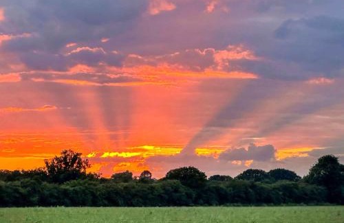 Rochford House | Woodland House - Uk48581