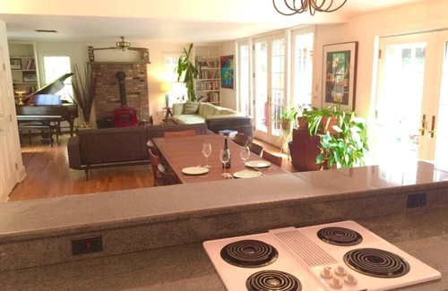 Mount Marion House | Woodstock MCMstyled house 60acres hottub Woodstock