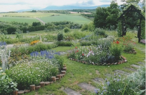 Sorachi-gun Cabin | Woody Life