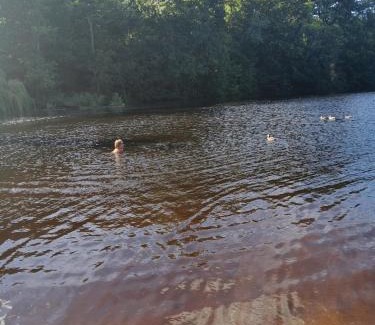 Knaresborough Apartment | Woofles Luxury Caravan at Knaresborough Lido