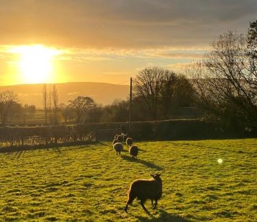 Westbrook Court House | Wye View Lodge, Hay View Lodges