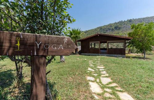 Patara Hotel | Xanthos Boutique Hotel Patara
