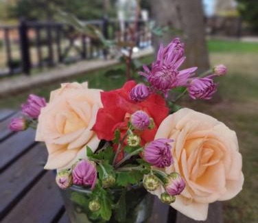 Synikia Mesi Trikalon Hotel | Xenonas Epavlis