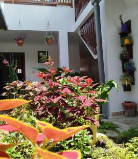 Leimebamba House | Yaku Wasi