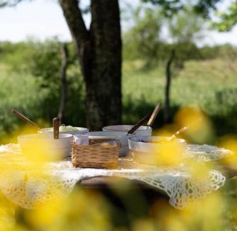 Colonia Libertad House | Yellow Cardinal Lodge