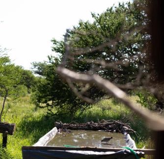 Colonia Libertad House | Yellow Cardinal Lodge