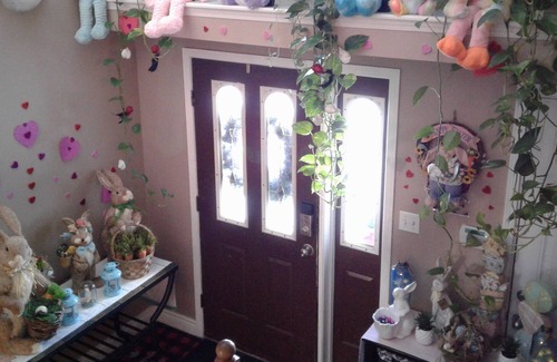 Northwest Edmonton Bed & Breakfast | You're Always Home 3 - Double bed with Continental Breakfast