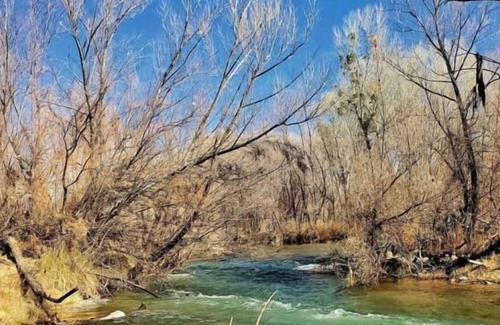Camp Verde House | Your Relaxing Getaway Awaits! Onsite Pool, Pets Allowed, FREE Parking!