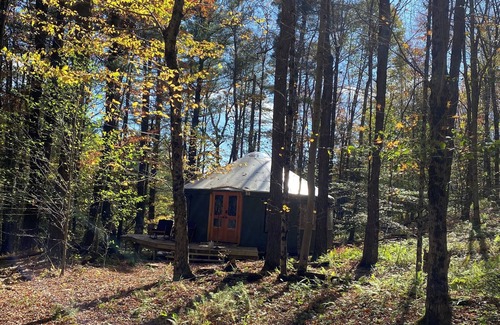 Walton Apartment | Yurt in Woods of Western Catskills