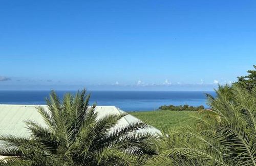 Saint-Claude Apartment | Zabana Lodge, dans un jardin tropical avec piscine
