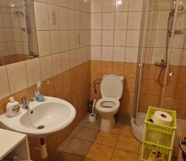 Golcuv Jenikov Apartment | Zahradní domek