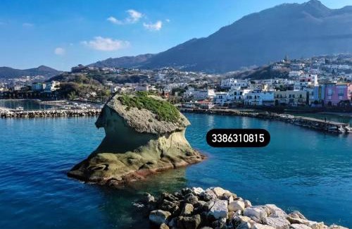 Lacco Ameno Apartment | Zaras 11