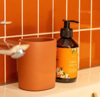 Loon Ski Chalet | Zeehout aan Zee