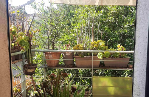 La Belle de Mai Apartment | Zen cocoon near La Friche