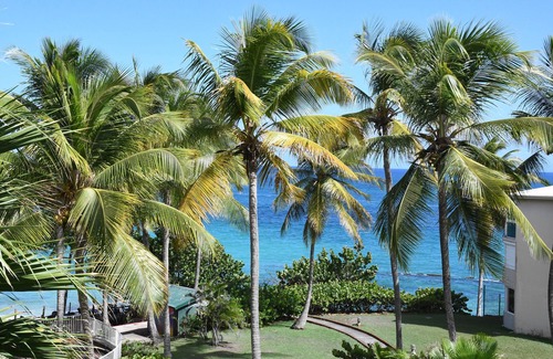 Pointe de la verdure Apartment | "ZENITUDE"