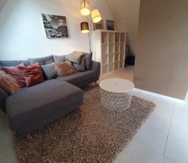 Schwaebisch Hall Apartment | Zentrale Dachwohnung in SHA