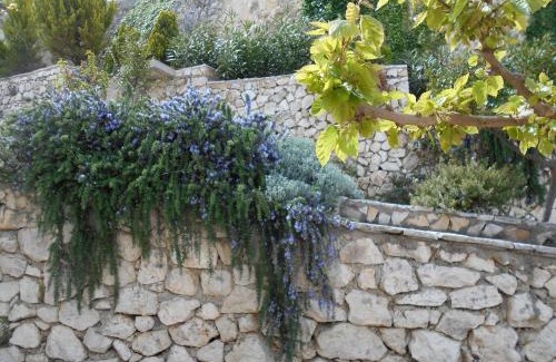 Drimonas Hotel | Zephyros Rooms And Apartments