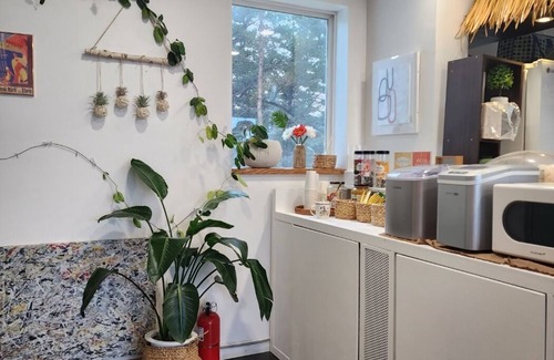 Yangyang Hotel | Zio Pinetree