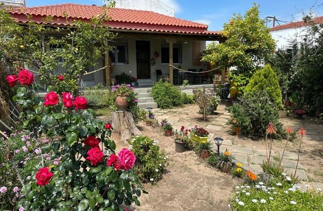 Λευκό γιασεμί - Νέες Παγασές Βόλος