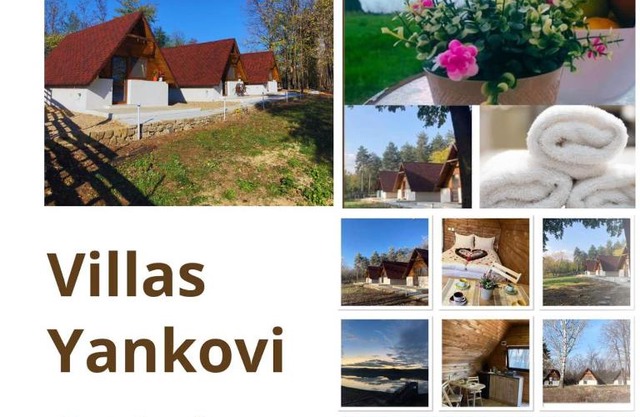 Вили Янкови