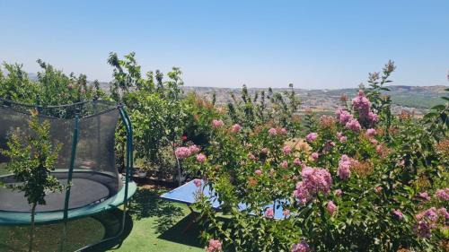 נוף הכפר - 6 חדרי אירוח לזוגות ומשפחות עם ג'קוזי משותף