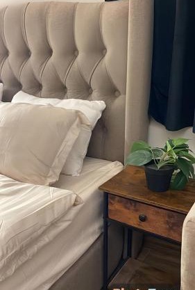 استديو الجاكرندا غرناطه