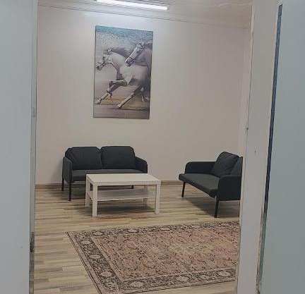 شقة الربوه الفندقيه