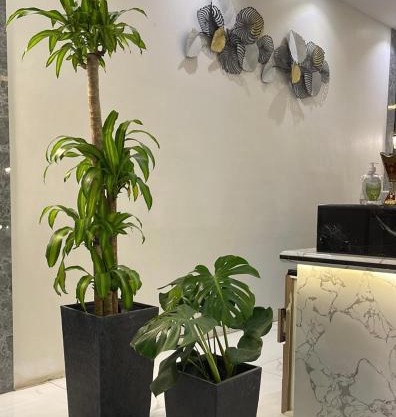 نوفل للشقق المخدومة