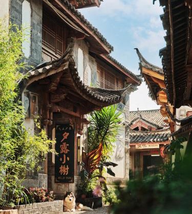 夕露小榭古城南门店 Xilu Xiaoxie Inn Old Town Lijiang
