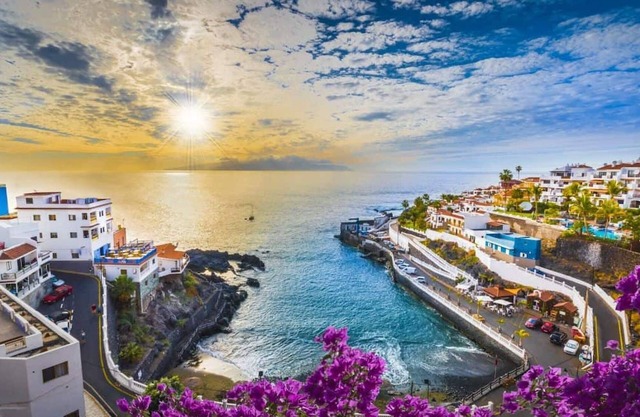 1 Bedroom Condo In Puerto De Santiago